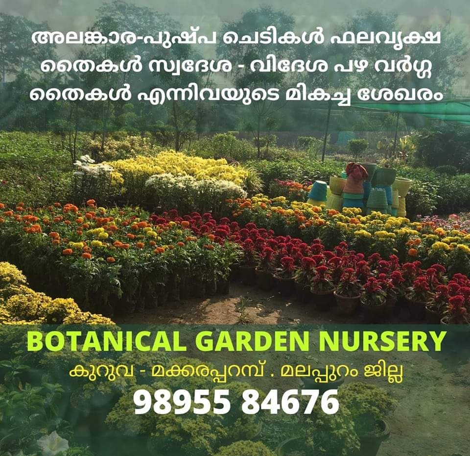 Botanical Garden Nursery Kuruva-Makkaraparamba