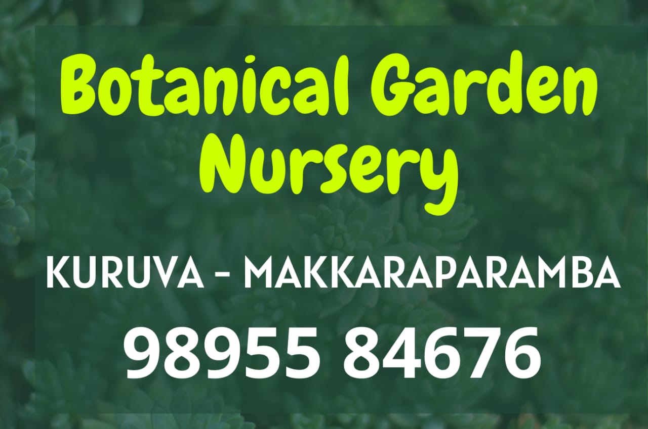 Botanical Garden Nursery Kuruva-Makkaraparamba