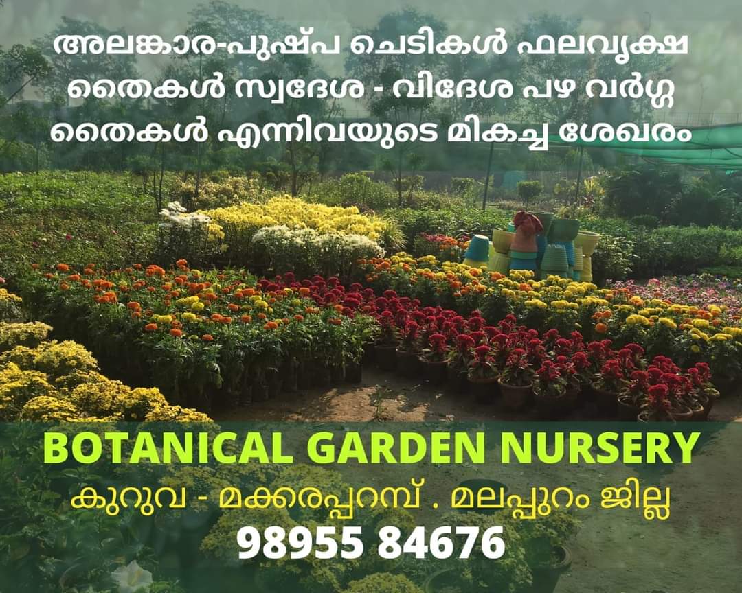 Botanical Garden Nursery Kuruva-Makkaraparamba