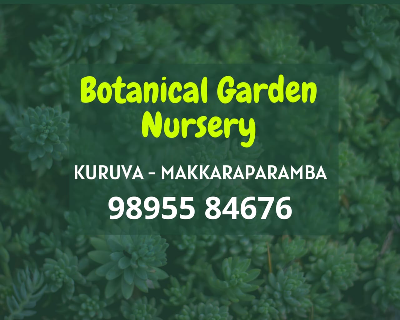 Botanical Garden Nursery Kuruva-Makkaraparamba