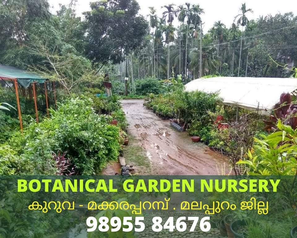 Botanical Garden Nursery Kuruva-Makkaraparamba