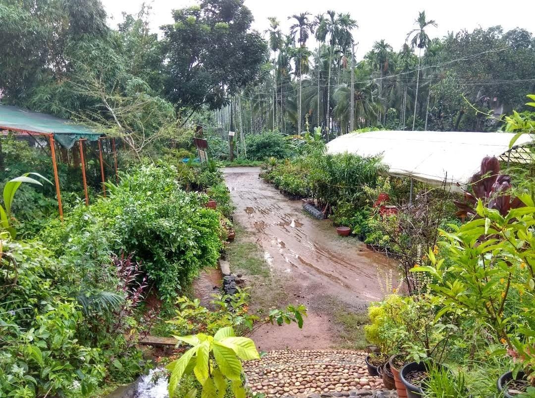 Botanical Garden Nursery Kuruva-Makkaraparamba