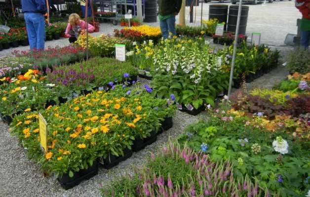 Botanical Garden Nursery Kuruva-Makkaraparamba